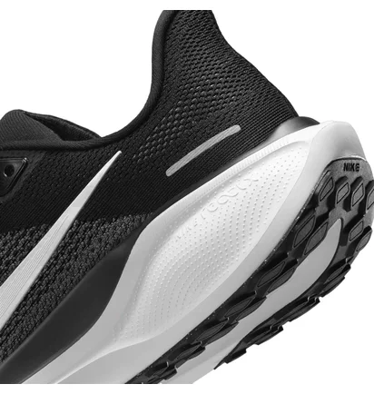 Кросівки чоловічі Nike Pegasus 41 Black FD2722-002