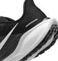 Кросівки чоловічі Nike Pegasus 41 Black FD2722-002