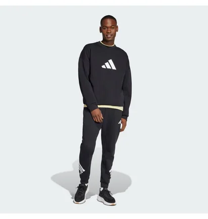 Штаны мужские Adidas Future Icons 3-Stripes Black JD4863