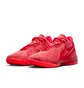 Кроссовки унисекс Nike Zoom Lebron Nxxt Gen Ampd Red FJ1566-600