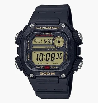 Часы Casio DW-291H-9A