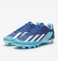 Бутсы унисекс Adidas X Crazyfast.4 Fg Blue GY7431