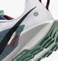 Кроссовки мужские Nike Pegasus Trail 5 Trail Running Shoes White DV3864-100