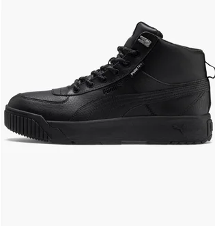 Кроссовки мужские Puma Tarrenz SB Puretex Black 370552-01