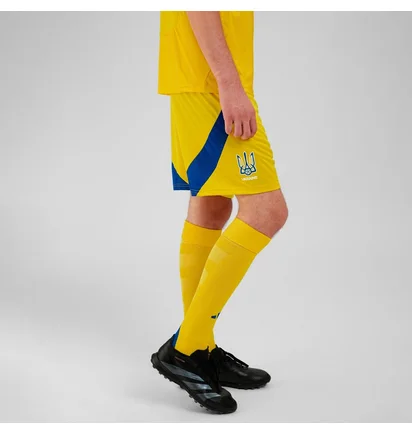 Шорты мужские Adidas Ukraine 24 Yellow IK2248