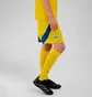 Шорты мужские Adidas Ukraine 24 Yellow IK2248