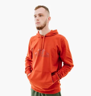 Худи мужское Helly Hansen Nord Graphic Pull Over Hoodie Orange 62975-308