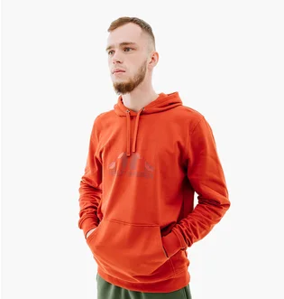 Худи мужское Helly Hansen Nord Graphic Pull Over Hoodie Orange 62975-308