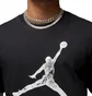 Футболка чоловіча Air Jordan Essentials Jumpman T-Shirt Black DQ7376-011