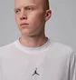 Футболка мужская Air Jordan Essentials Dri-Fit Grey IF0882-100