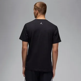 Футболка мужская Air Jordan Sport Dri-Fit Graphic T-Shirt Black HQ7984-010
