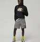 Шорты мужские Air Jordan M J Jmpmn Flc Short Grey Dm3009-091