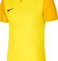Футболка чоловіча Nike Jersey M Nk Df Trophy V Jsy Ss Yellow DR0933-719