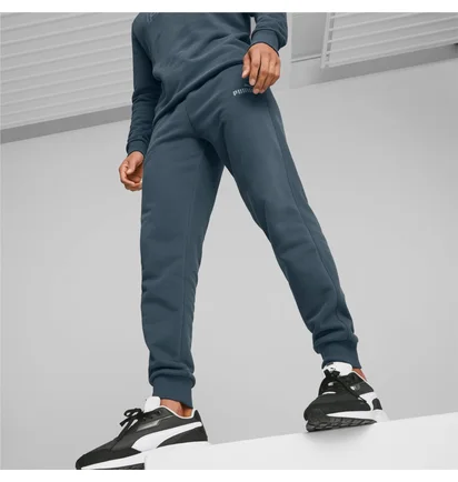 Штаны мужские Puma Ess Elevated Blue 673388-16