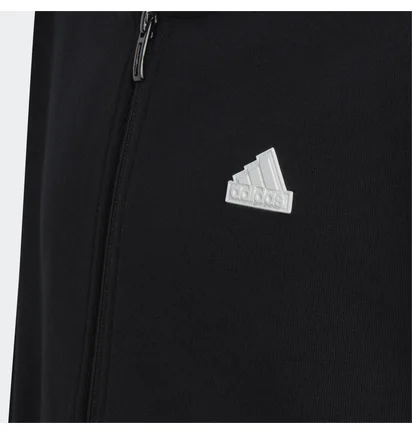 Толстовка детская Adidas Future Icons 3-Stripes Full-Zip Sportswear Black HR6317