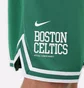 Шорты мужские Nike Boston Celtics Green DB1793-312