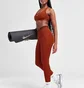 Легінси жіночі Nike Pro 365 Brown CZ9779-832