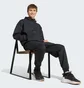 Штани чоловічі Adidas Z.N.E. Pants Black JD9599