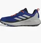 Кросівки чоловічі Adidas Terrex Anylander Hiking Blue IH3546