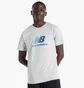 Футболка чоловіча New Balance Essentials Grey MT51503AG