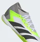 Футзалки унисекс Adidas Predator Accuracy.3 Indoor Shoes White/Grey GY9990