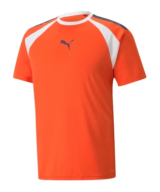 Футболка чоловіча Puma Teamliga Multisport T-Shirt Orange 658084-13