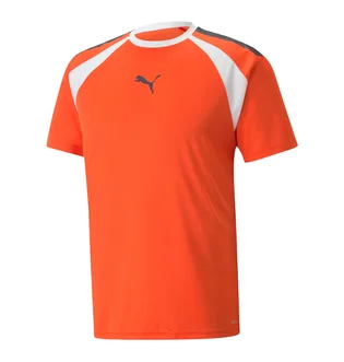 Футболка мужская Puma Teamliga Multisport T-Shirt Orange 658084-13