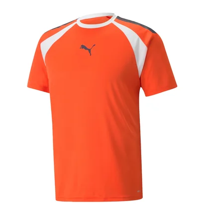 Футболка мужская Puma Teamliga Multisport T-Shirt Orange 658084-13