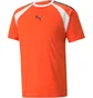 Футболка мужская Puma Teamliga Multisport T-Shirt Orange 658084-13