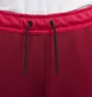 Штани чоловічі Nike Sportswear Tech Fleece Pink CU4495-643