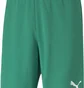 Шорты мужские Puma Shorts Teamrise Short Green 704942-05
