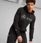 Худи мужское Puma Mercedes-Amg Petronas Black 621159-01