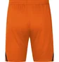 Шорти чоловічі Jako Challenge Short Orange 4421-351