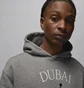 Худі чоловіче Air Jordan Hoodie Dubai Grey HF1524-091