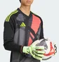 Перчатки вратарские Adidas Predator Gl Pro Green JJ3532