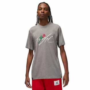Футболка мужская Air Jordan Brand Sorry Grey Dq7390-091