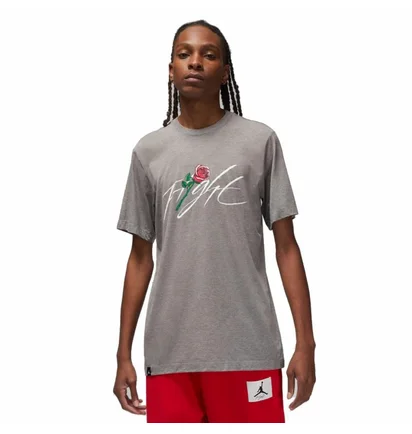 Футболка мужская Air Jordan Brand Sorry Grey Dq7390-091