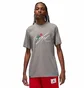 Футболка мужская Air Jordan Brand Sorry Grey Dq7390-091