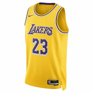 Майка мужская Nike Dri-Fit Nba Swingman Los Angeles Lakers Icon Edition 2022/23 Lebron James Yellow DN2009-733