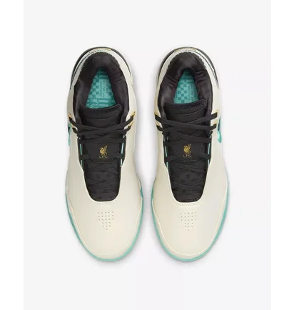Кроссовки унисекс Nike Liverpool F.C. X Zoom Lebron Nxxt Gen Ampd Beige FJ1566-101