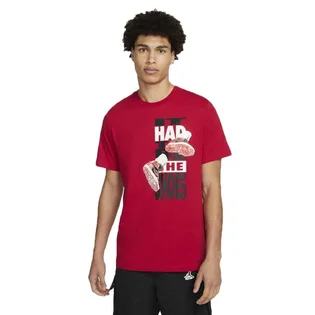 Футболка мужская Air Jordan The Shoes Red DH8952-687