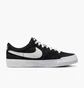 Кросівки унісекс Nike Sb Zoom Pogo Plus Black DV5469-001