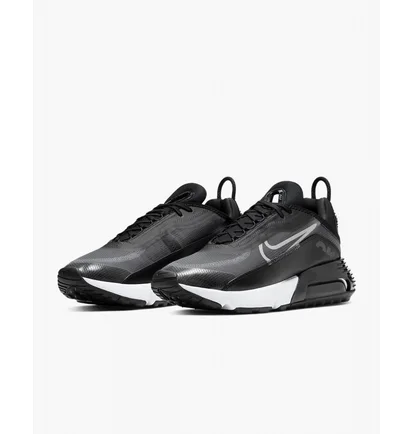Кросівки чоловічі Nike Air Max 2090 Black CW7306-001