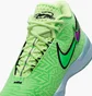 Кроссовки мужские Nike Lbj Nxxt Genisus Green HF0712-700
