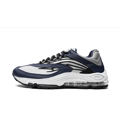 Кросівки чоловічі Nike Air Tuned Max Grey/Blue DH4793-400