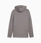 Толстовка мужская Puma Evostripe Full-Zip Hoodie Grey 684613-79