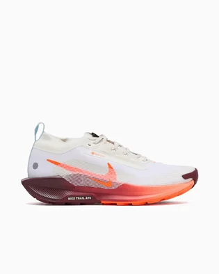 Кроссовки мужские Nike Pegasus Trail 5 Gtx White FQ0908-104