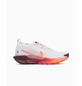 Кроссовки мужские Nike Pegasus Trail 5 Gtx White FQ0908-104