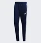 Штаны мужские Adidas Tiro 19 Blue DT5174