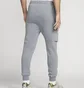 Штаны мужские Nike Sportswear Standard Issue Grey FJ0550-065